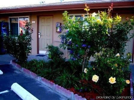 Maple And Banos Motel